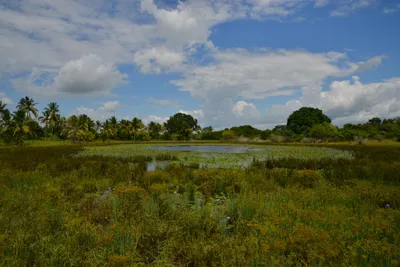 DSC_4783 (Large).JPG